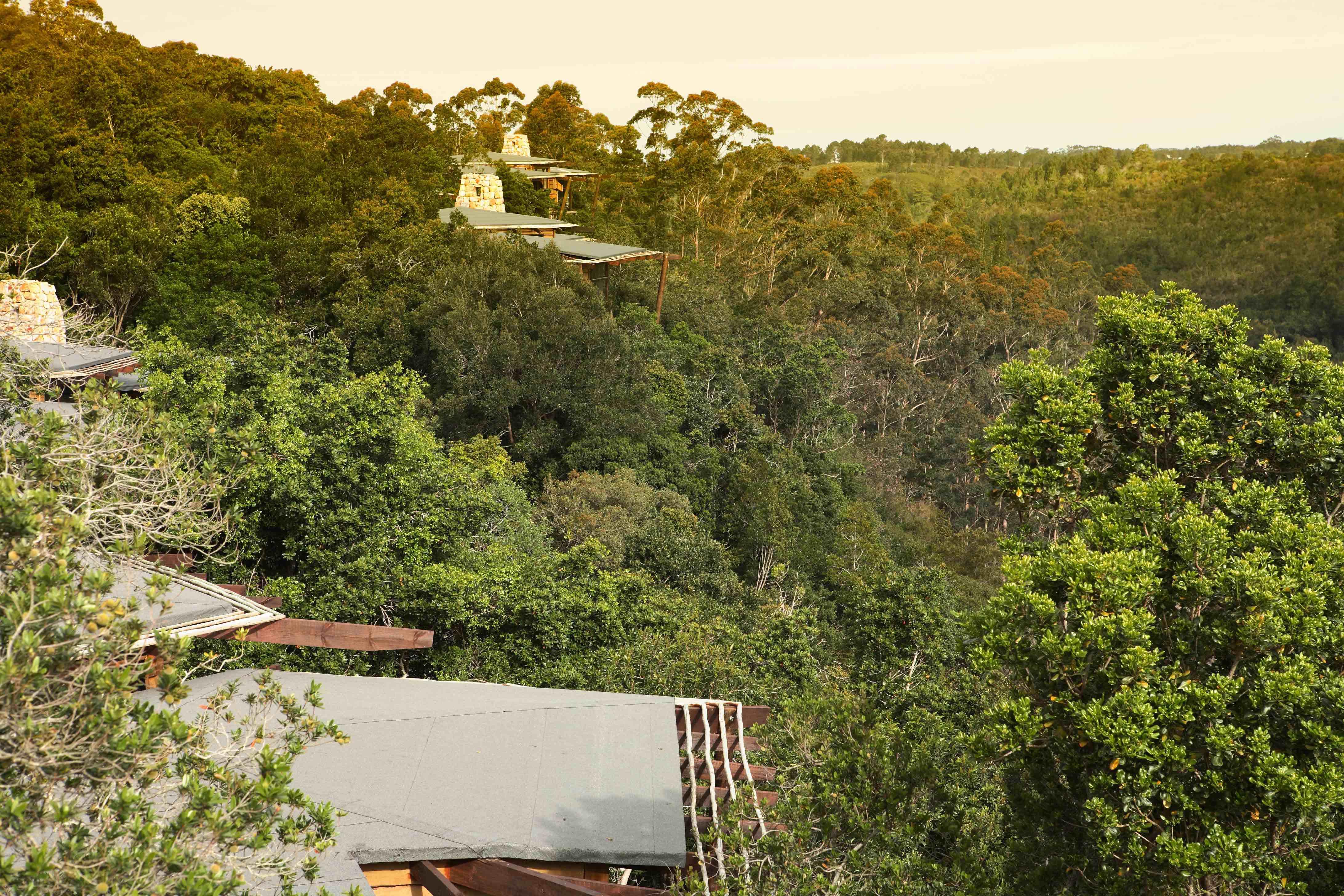 Tsala Treetop Lodge Plettenberg Bay Exteriör bild