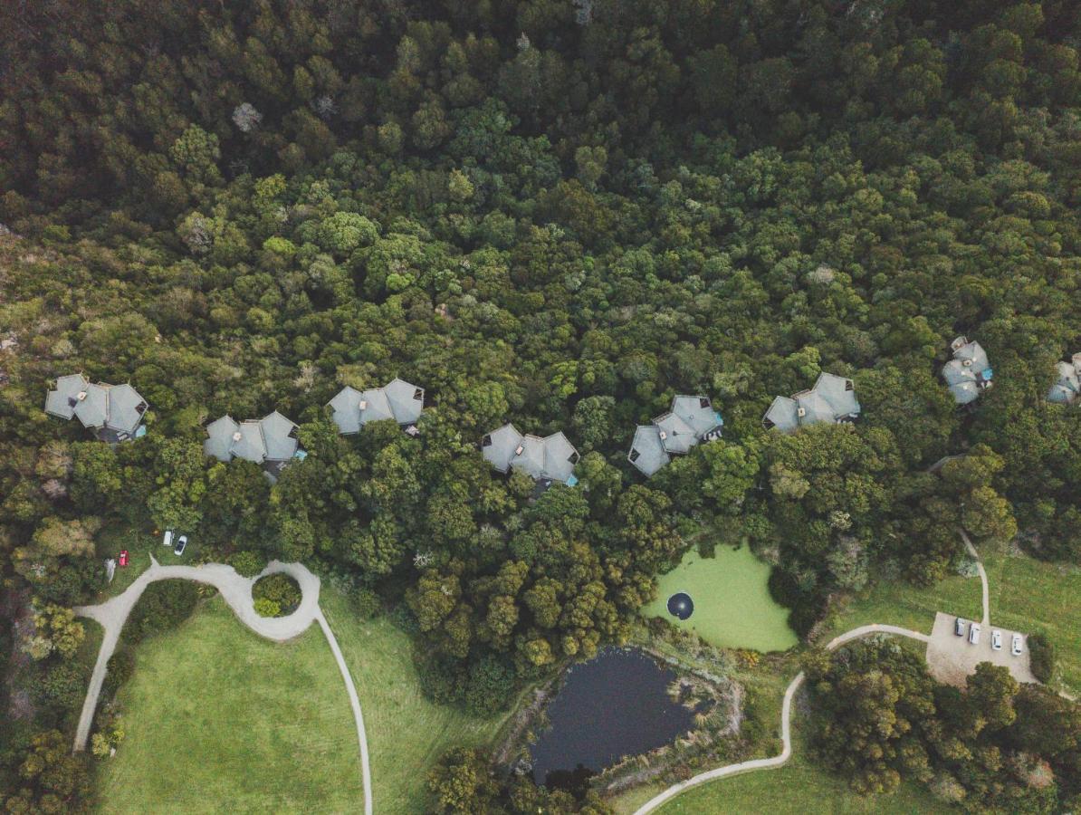 Tsala Treetop Lodge Plettenberg Bay Exteriör bild