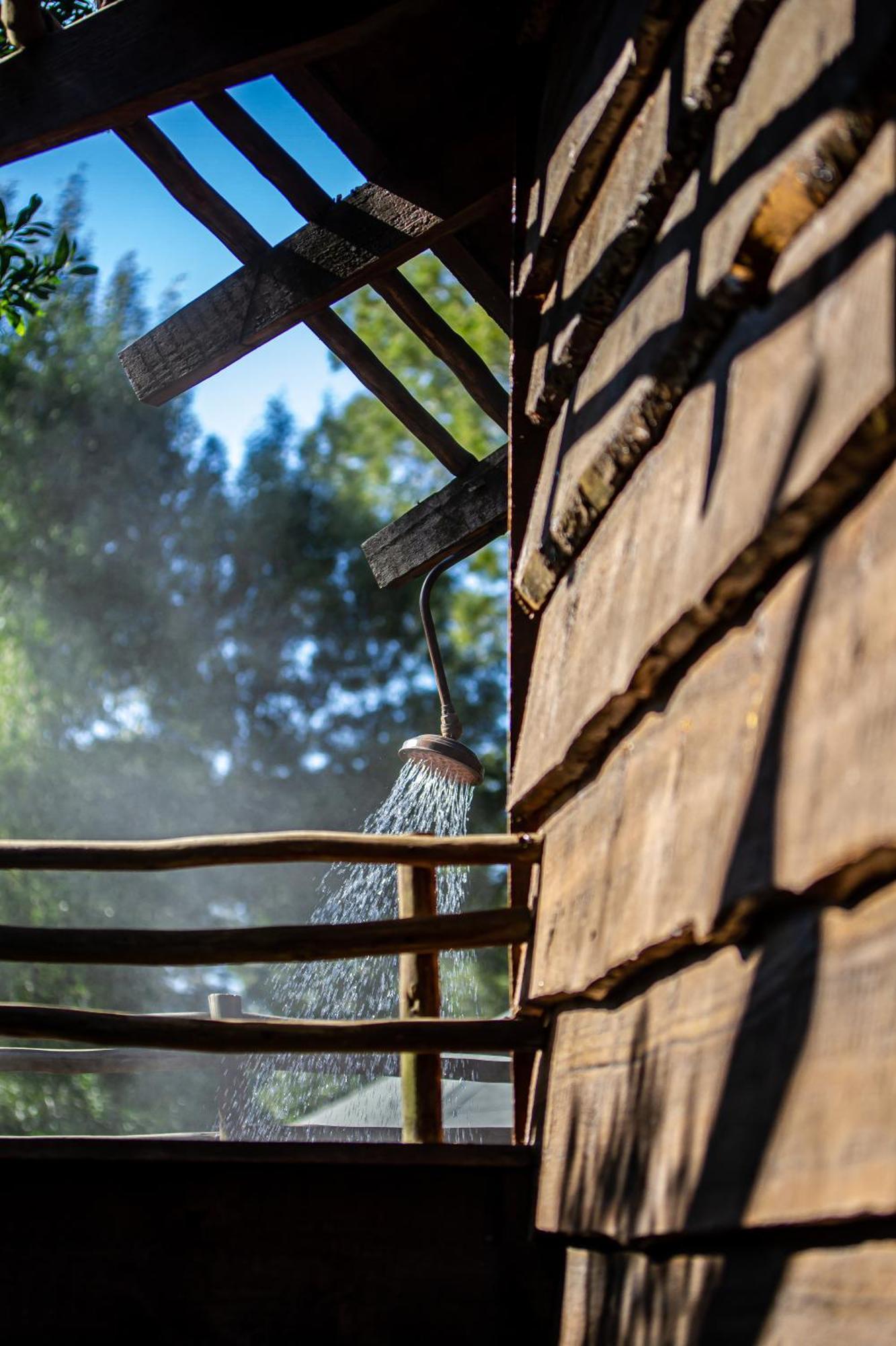 Tsala Treetop Lodge Plettenberg Bay Exteriör bild