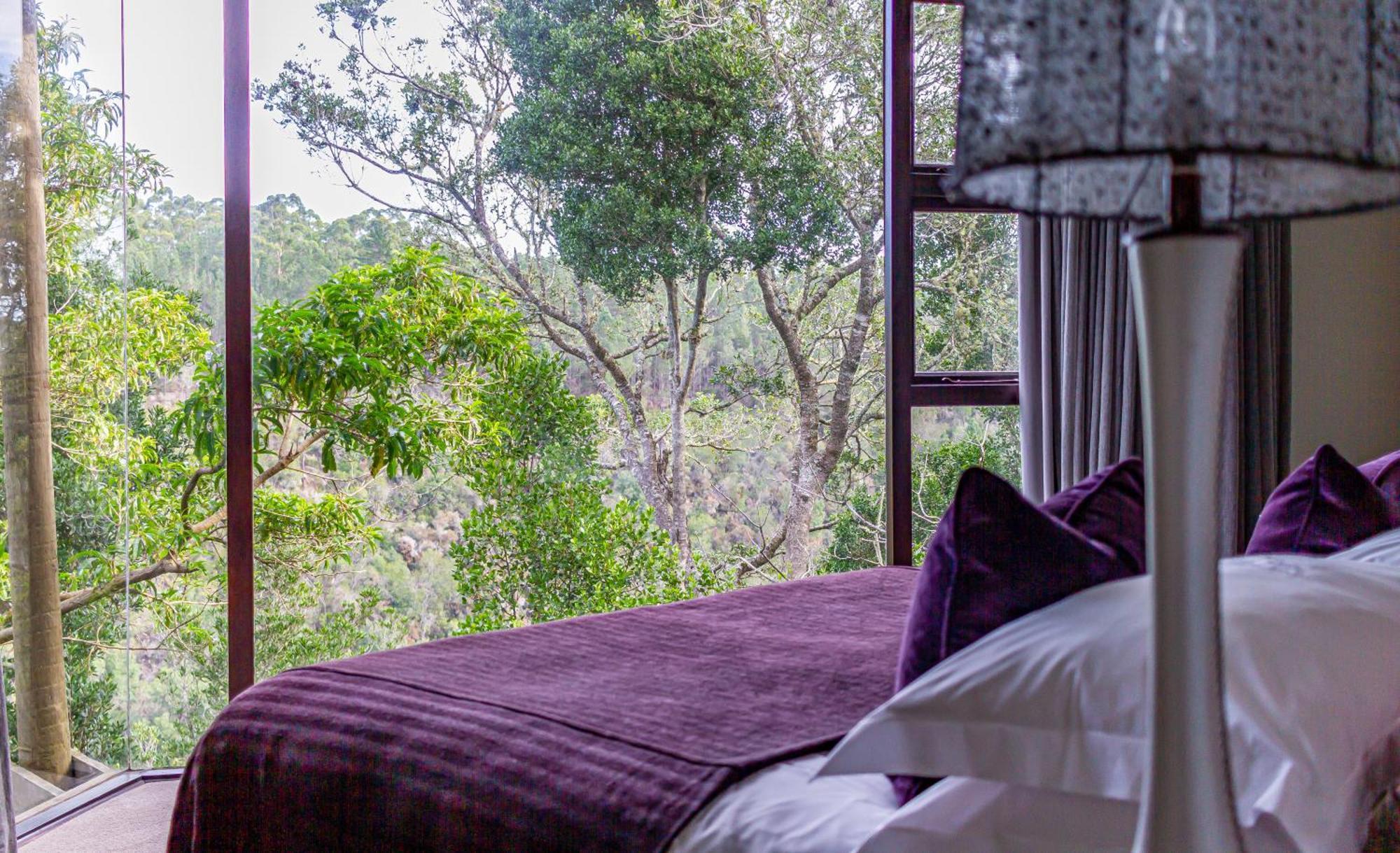 Tsala Treetop Lodge Plettenberg Bay Exteriör bild