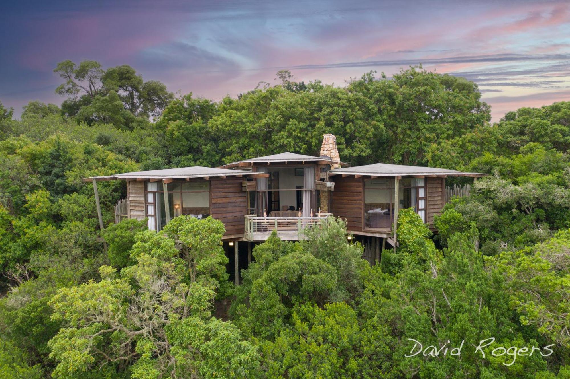 Tsala Treetop Lodge Plettenberg Bay Exteriör bild