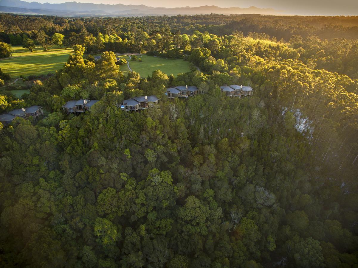 Tsala Treetop Lodge Plettenberg Bay Exteriör bild