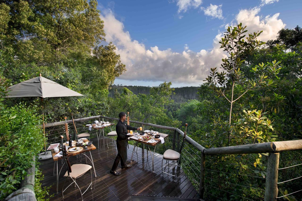 Tsala Treetop Lodge Plettenberg Bay Exteriör bild