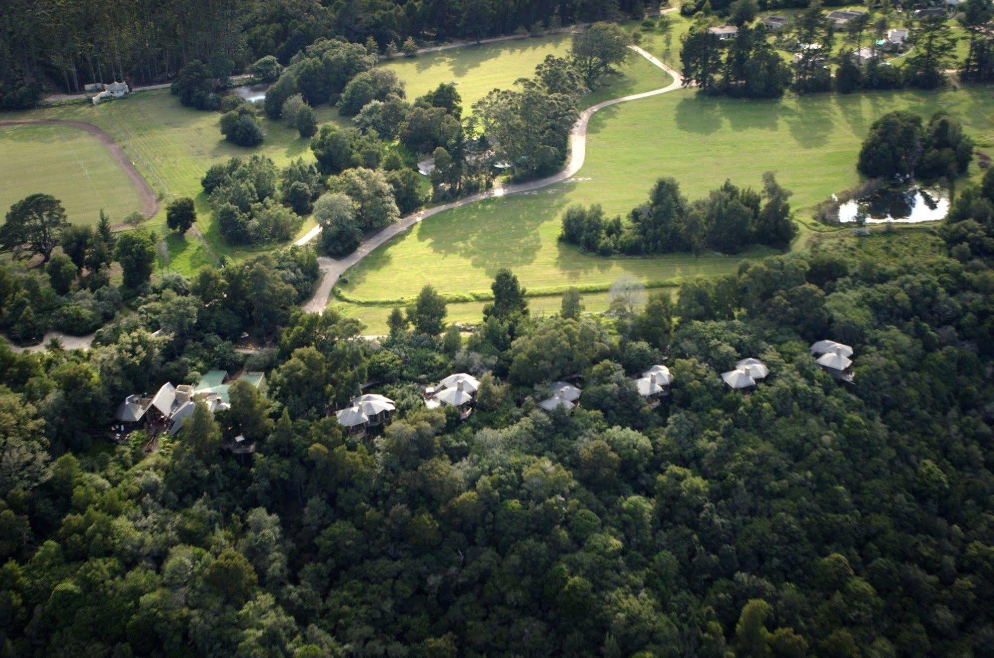 Tsala Treetop Lodge Plettenberg Bay Exteriör bild
