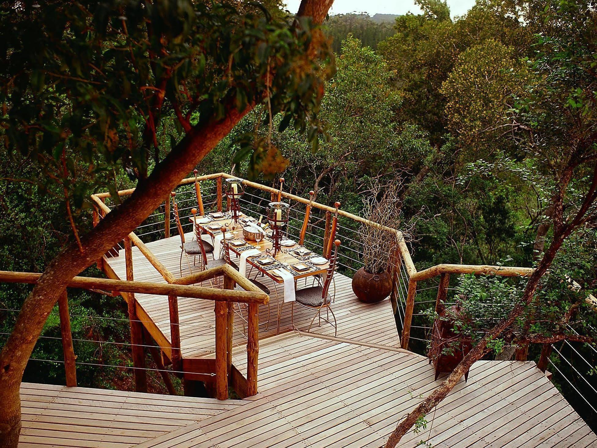 Tsala Treetop Lodge Plettenberg Bay Exteriör bild